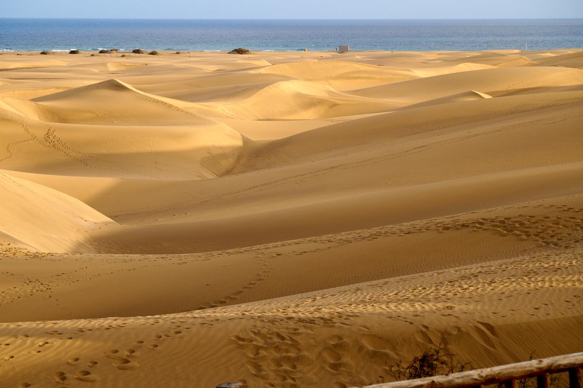 Gran Canaria nature