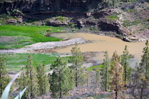 Gran Canaria nature